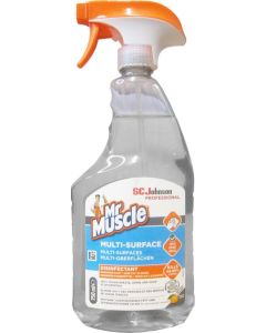 SCJ316524 JOHNSON MR MUSCLE MULTI-SURFACE CLEANER 750ML