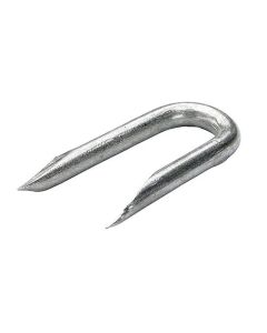 NL55P GALVANISED STAPLES 15MM 50G PK