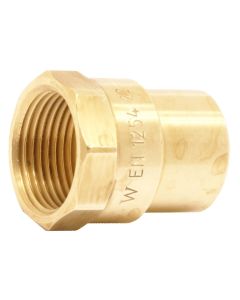 (C) 25206 TECTITE S/STEEL TS2 STRAIGHT FEMALE CONNECTOR 15MM X 1/2"